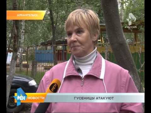 Страны Балтии потребуют у России выплаты