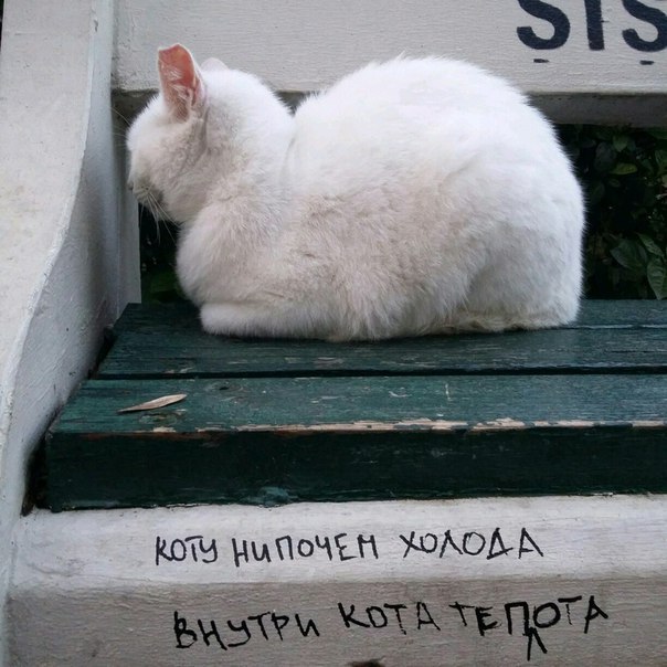 Ты на люке лежишь, ты теплый, я погреюсь на тебе