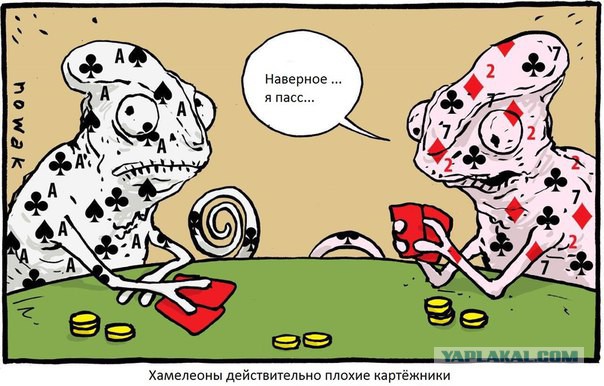 Подборка картинок из сети
