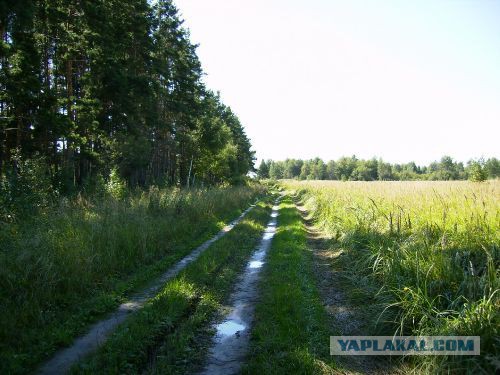 В деревню...