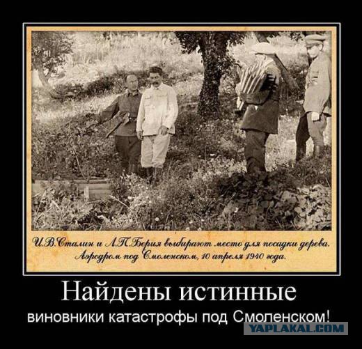 Польша возмущена продажей земли на месте катастрофы самолета Качиньского под Смоленском
