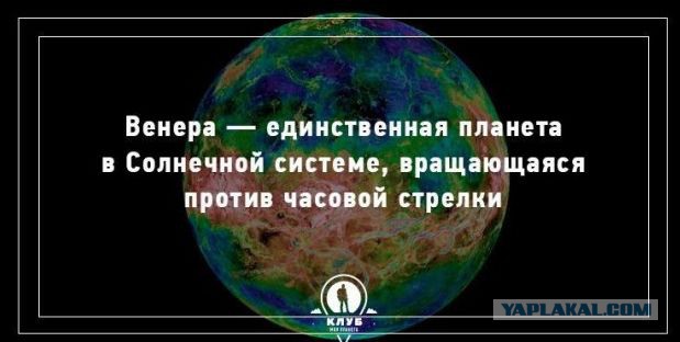 Занятные факты обо всем на свете