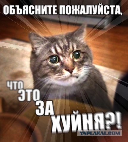 Windows 10 скоро станет платной