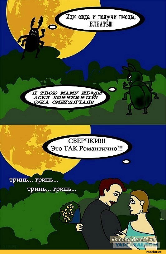 Соловей - живой звук.