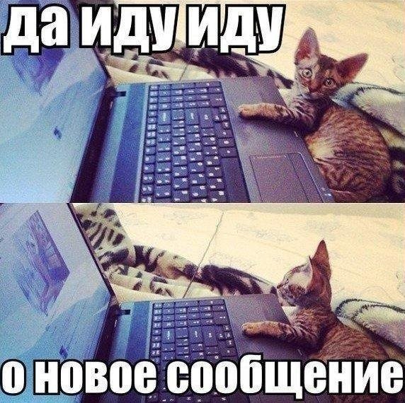 Бурление жизни в соцсетях