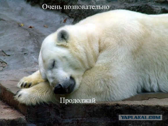 Как мы крысу наказали