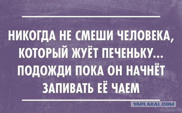 Смешные комментарии из социальных сетей 12.08.2016