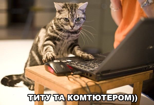 Прикольные животные