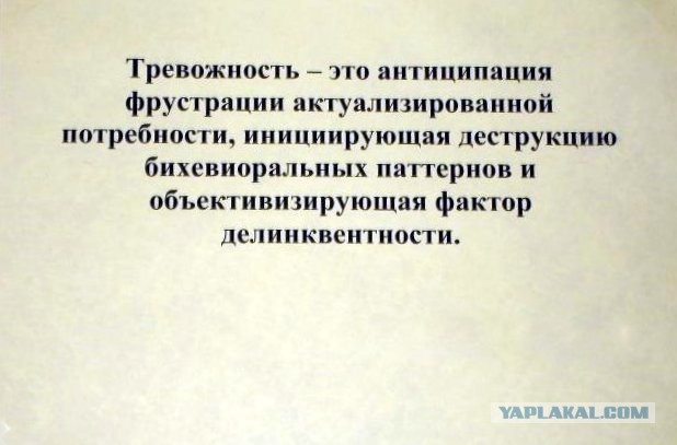 Ищу красавицу с ЯП!