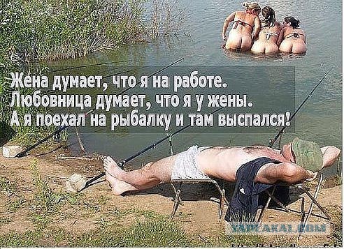 Смешные комментарии 02.10.2016