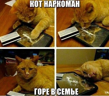 Подборка смешных картинок