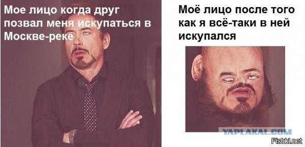 Прикольные и веселые картинки