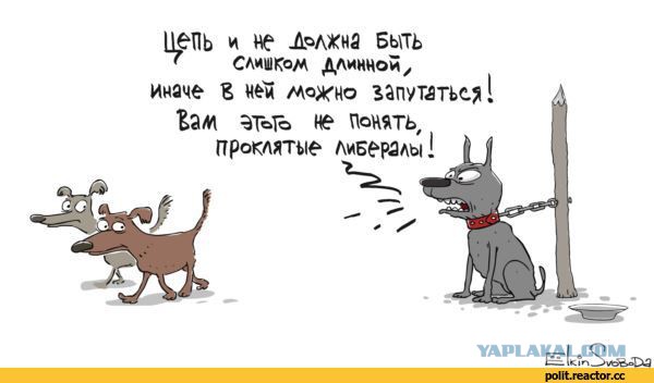 Они такие разные... Но есть нечто, что их объединяет.