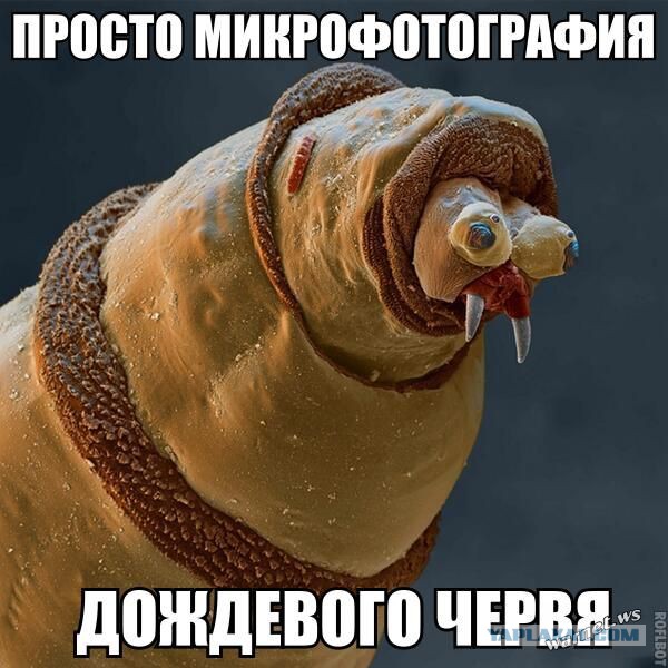 Маразмом по понедельнику