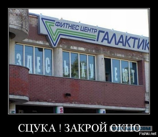 Подсмотрено на просторах