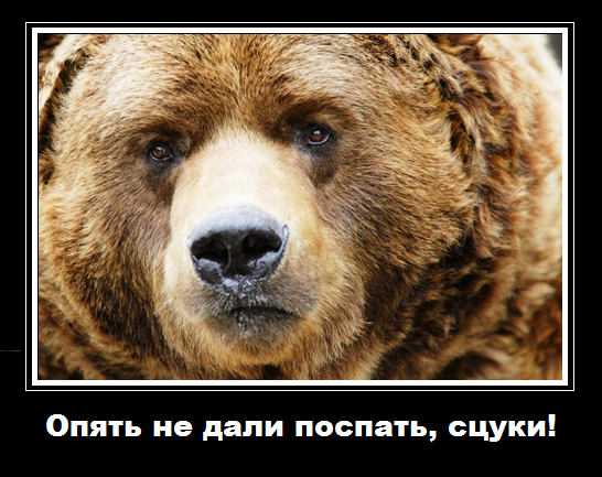 Слава Сэ сокрушается о вечном: "И опять у нас во всём виноват святой Маврикий..."