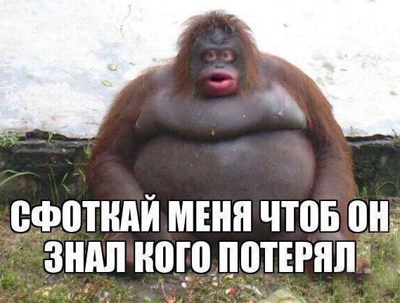 Смешные комментарии из социальных сетей 27.01.2017