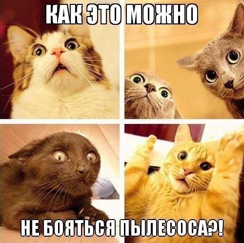 Всякого разного на пятницу!