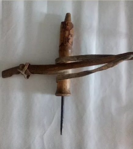 Ученые усомнились в теории эволюции после находки на Алтае