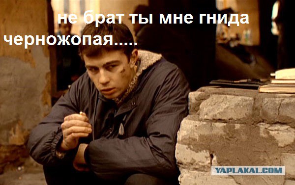 А свадьба пела и гуляла.