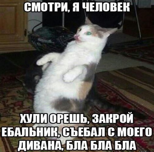 Немного деграданса - 7