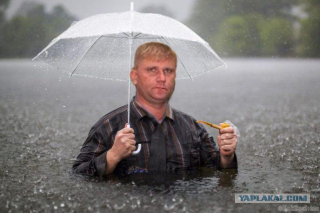 Мужчина сделал это фото во время наводнения. На следующее утро он проснулся знаменитостью