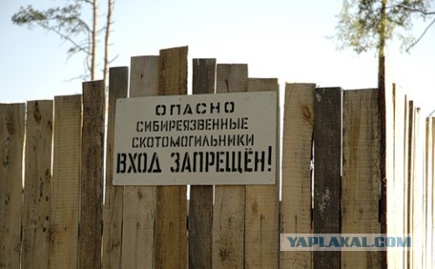 Неэтичные, но полезные советы