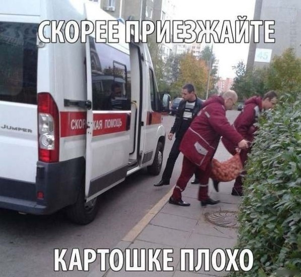 Подборка интересных и веселых картинок