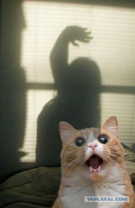 Ты меня бросаешь?