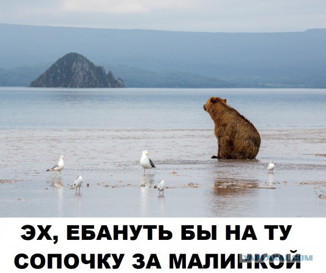 Разрядка обстановки