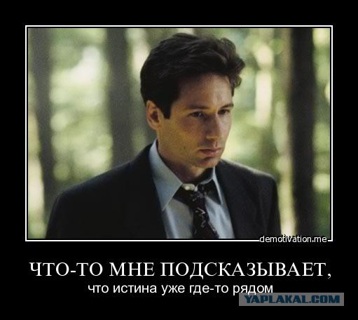 Новая Конституция