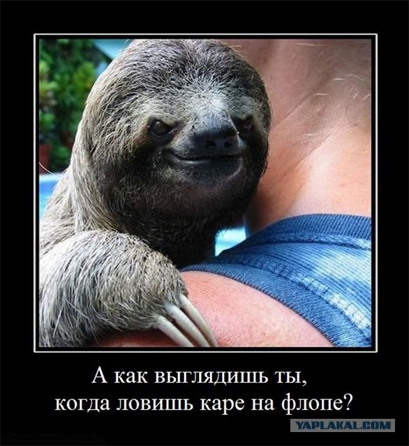 Яблоко от яблони недалеко падает