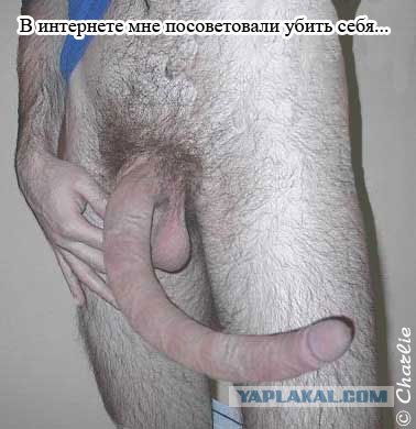 Ищем жениха для Лаванды