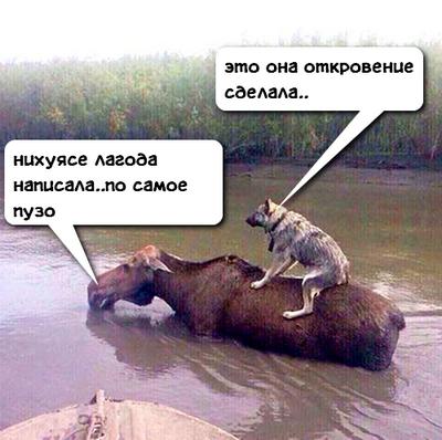Количество сексуальных партнёров и как это влияет на отношения у людей после 35+