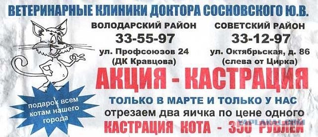 Объявление для Вонни