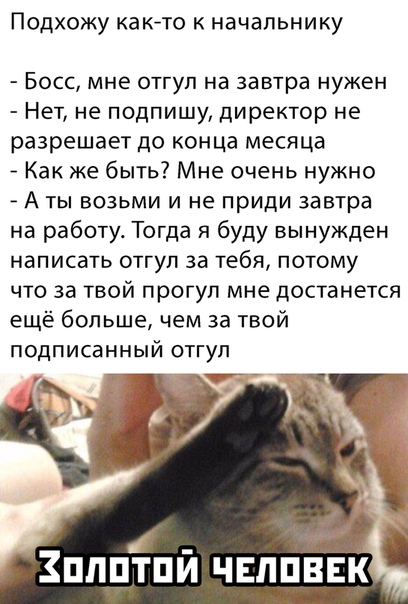 Прикольные картинки 09.02.20