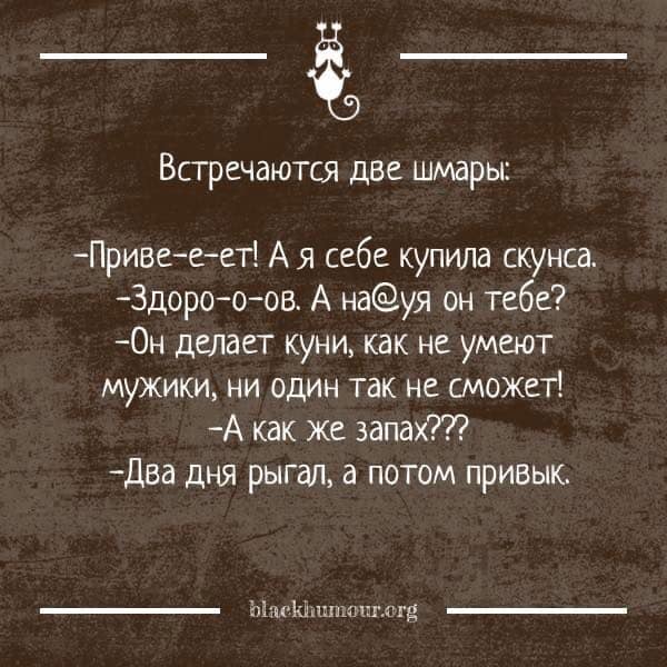 Немного картинок для настроения 20.02.20