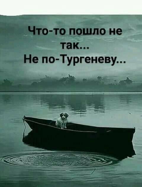 Немного картинок для настроения 26.02.20
