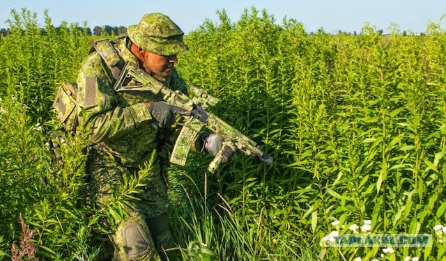 Борьба с аборигенами на их поле