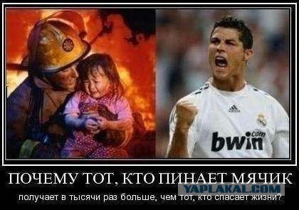 Скоты