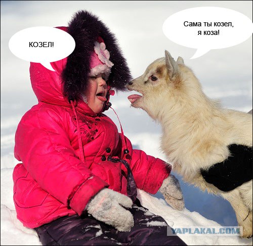 Обмен любезностями!