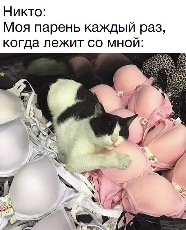 Картинки разные 10.01.21