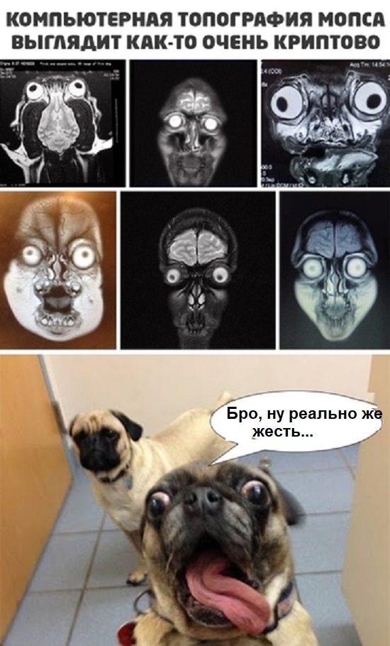 Картинки с надписями и всякие жизненные фразы