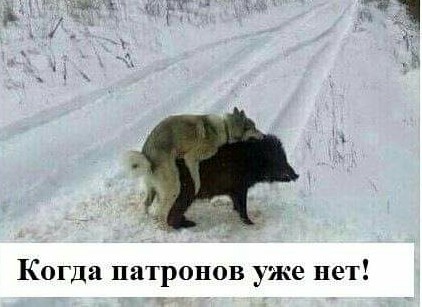 Друзья! я решился! Можете меня поздравить..
