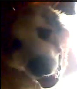 Бабушка Баряяяя!