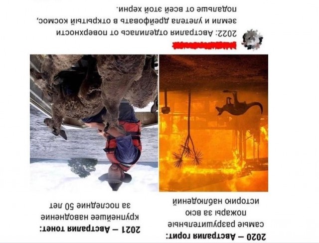 Картинки и мемы для настроения