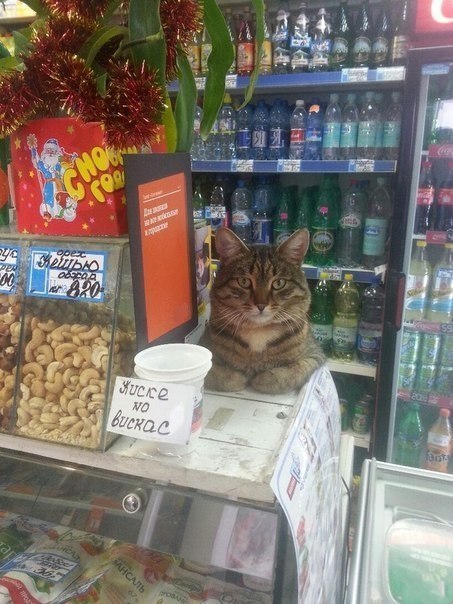 Добрые картинки с животными