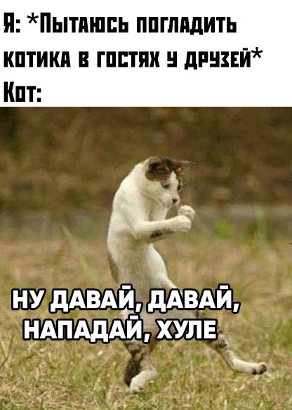 Картинки и мемы для настроения 029