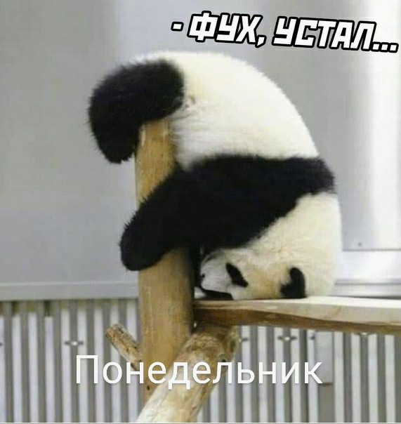 Женщина за 50 никому не нужна