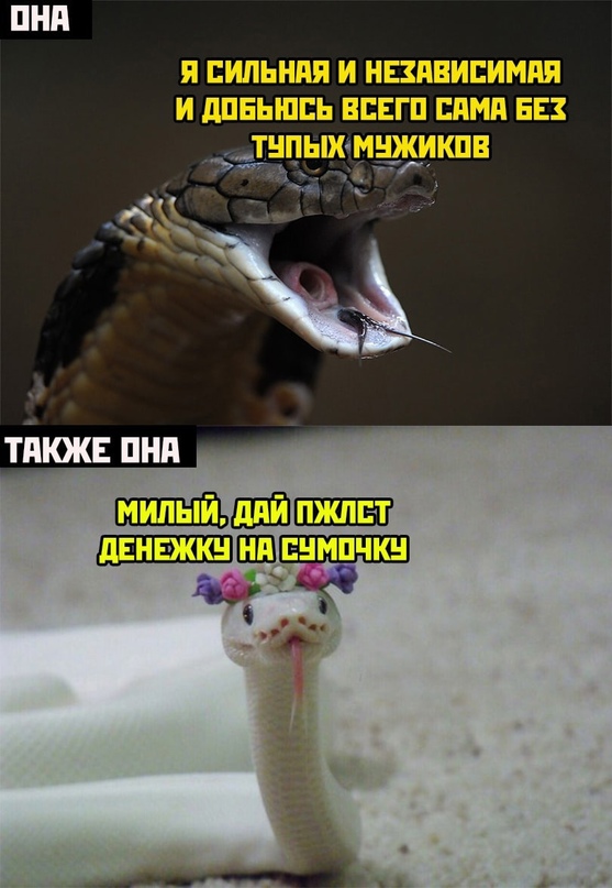 Весёлый полтишок 28.07